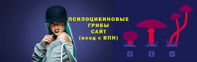 apvp Аркадак