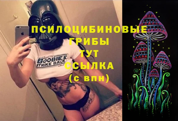 apvp Аркадак