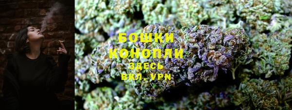 apvp Аркадак