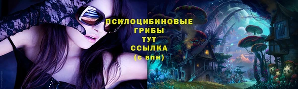 тгк Арсеньев