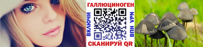 Галлюциногенные грибы мицелий  продажа наркотиков  Урюпинск 
